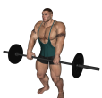 Shrug - Barbell
